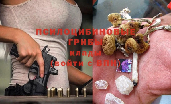 ГАЛЛЮЦИНОГЕННЫЕ ГРИБЫ Алексин