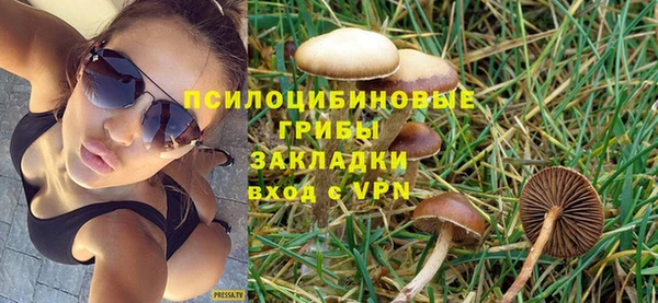 молекула духа Снежногорск
