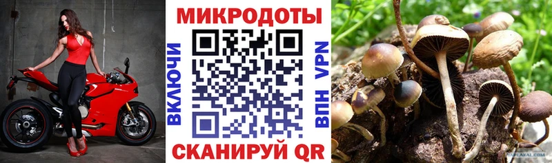 Галлюциногенные грибы Cubensis  kraken онион  Болгар 